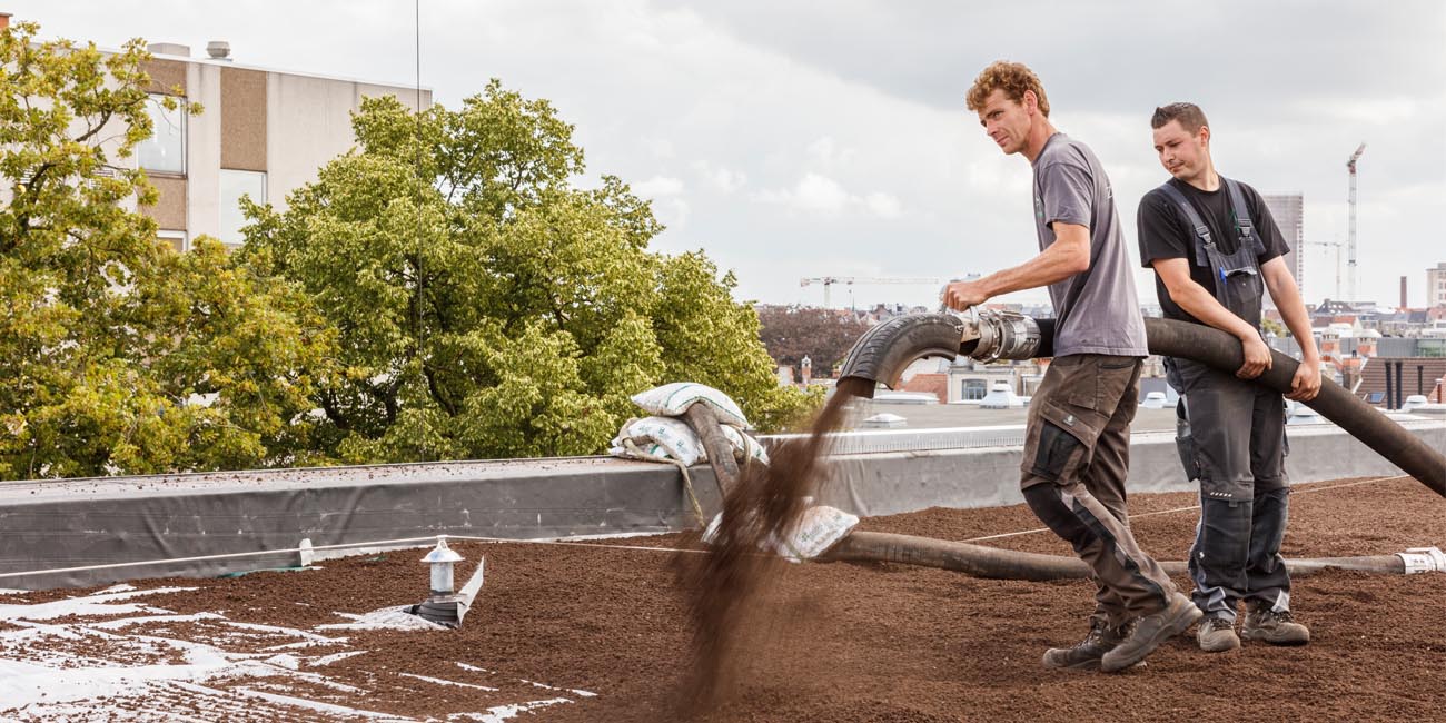 Green roofs